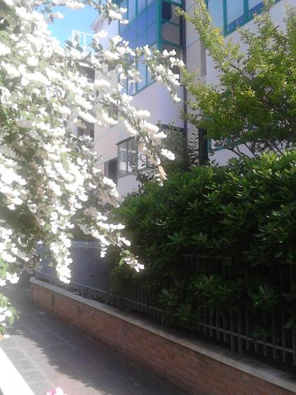 B&b Giudecca Bella - image 27