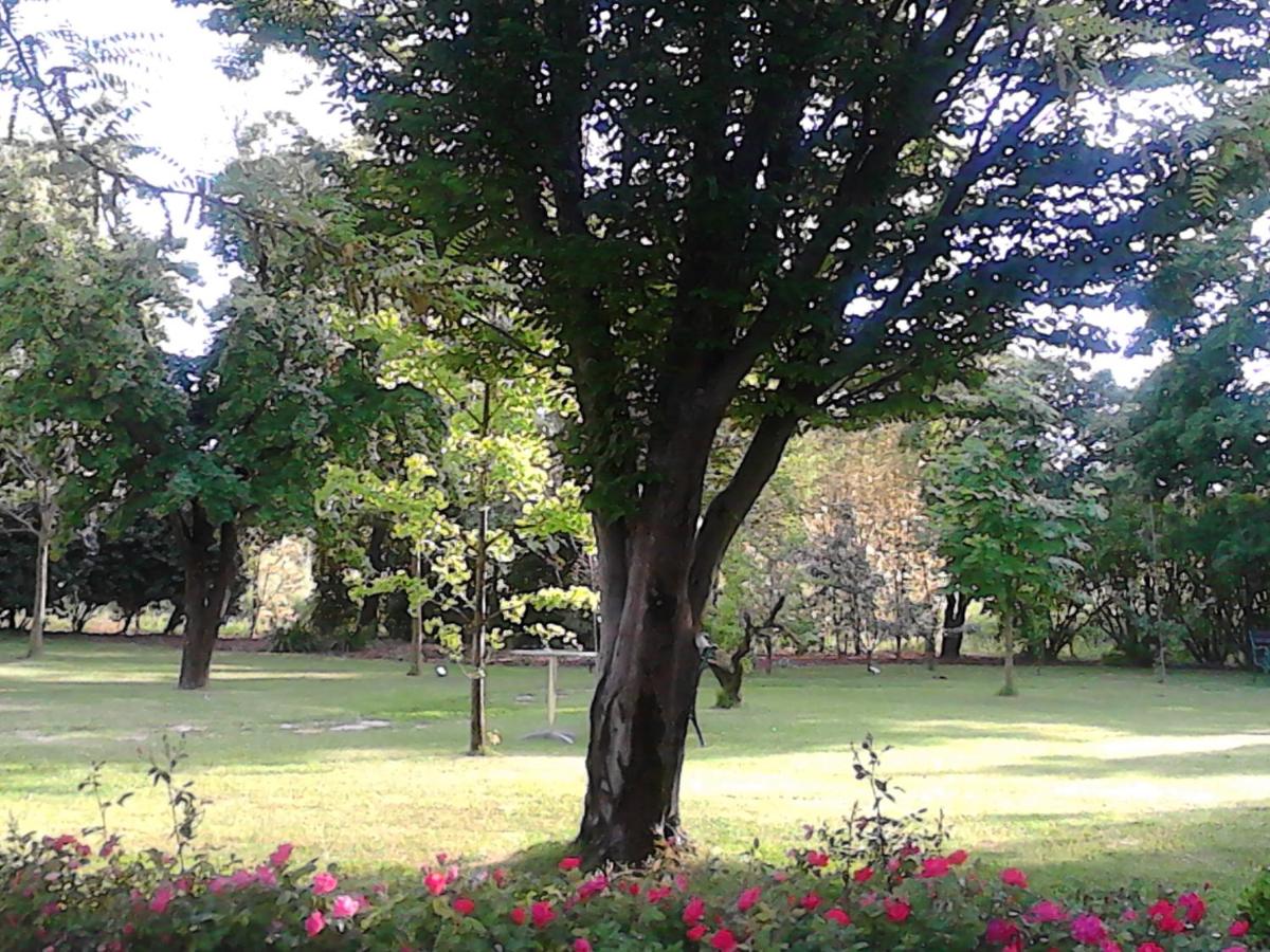 B&b Giudecca Bella - image 5