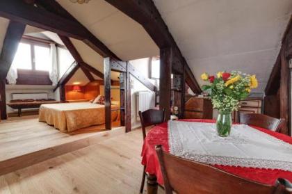 Ca' Badoer Attic - image 1