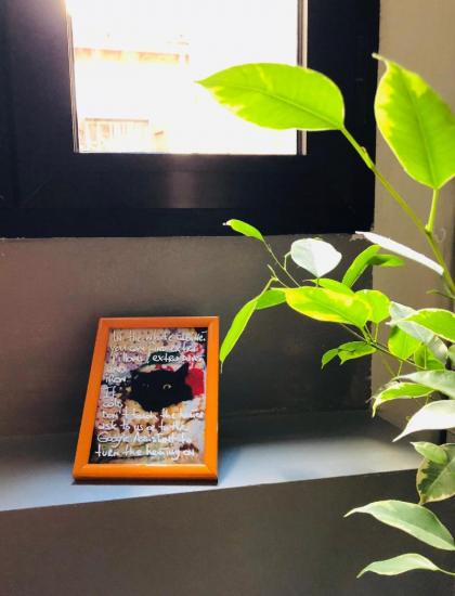 A Brilliant Chic Dwelling - image 5