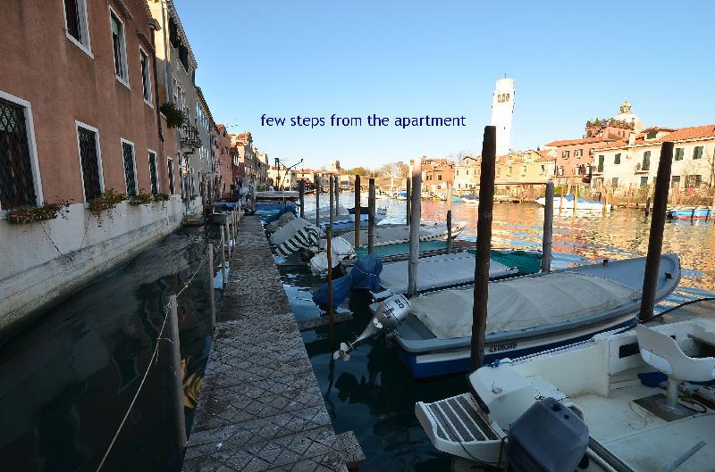 Dandolo-Mich - image 6