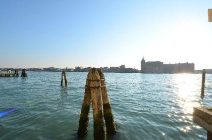 Pollock-Jason - image 5