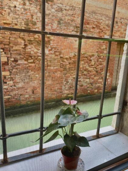 Hayez Rooms - image 29